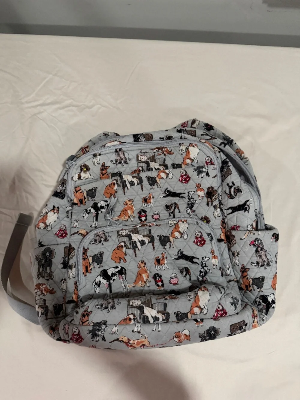 Vera Bradley Dog Backpack